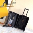 Louis Vuitton Travel case Bag LVTCB3447